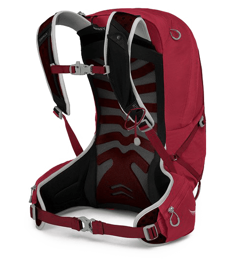 talon22f20_s21_side_cosmicred