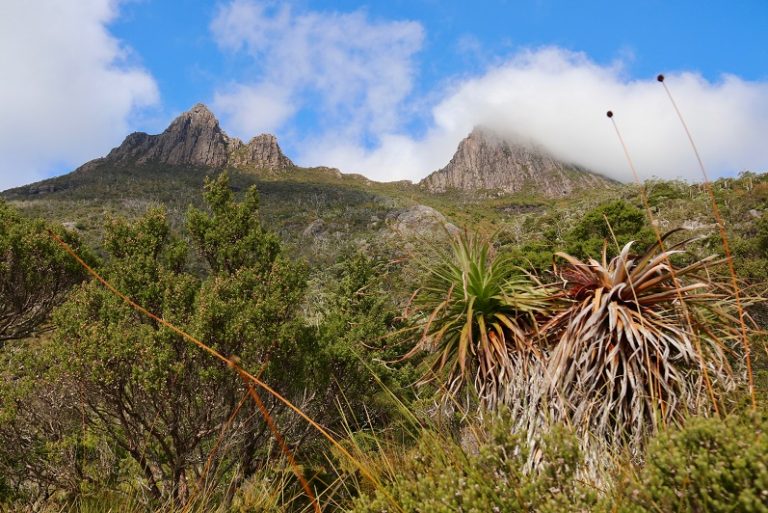 cradle-mountain-trail