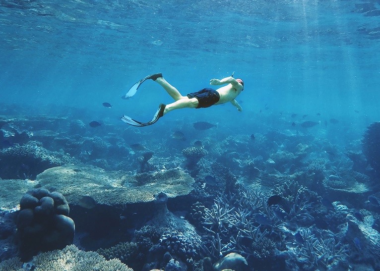 Best Australian Adventure Blogs,Australian Adventure Blogs Adventurerz