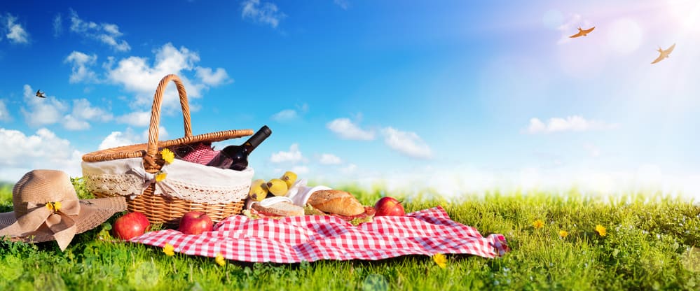 A spring picnic on a grassy field.